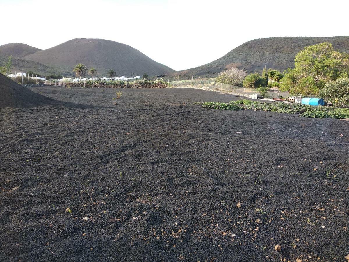 Finca La Tabaiba Máguez المظهر الخارجي الصورة